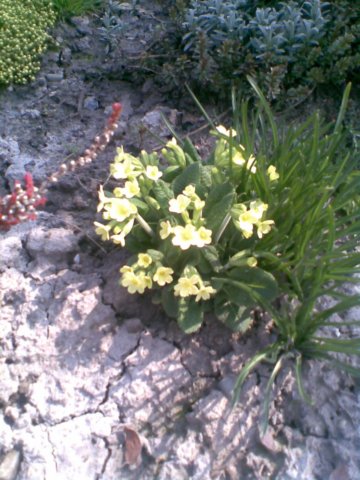 photo6.jpg